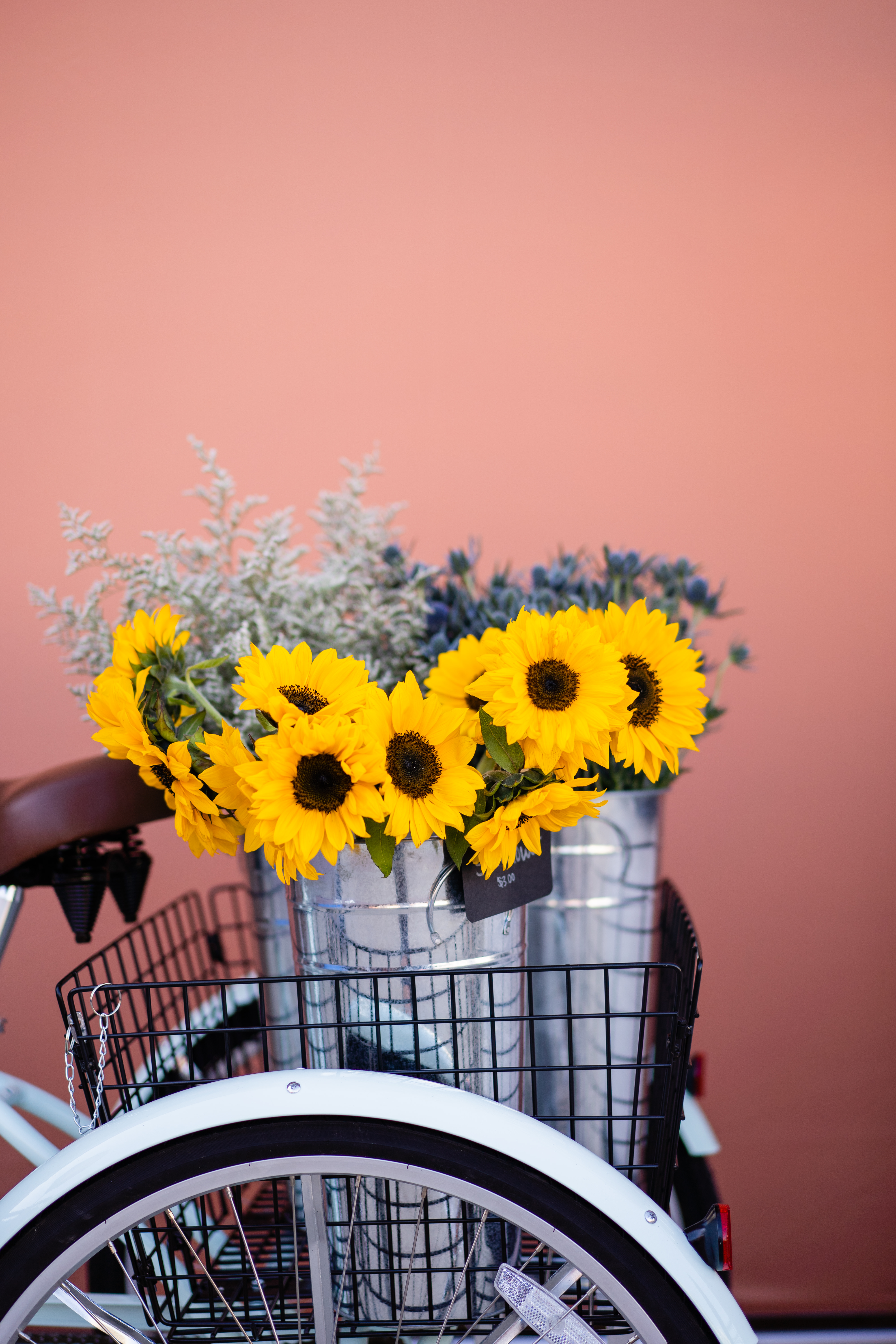 sunflowers on flower cart